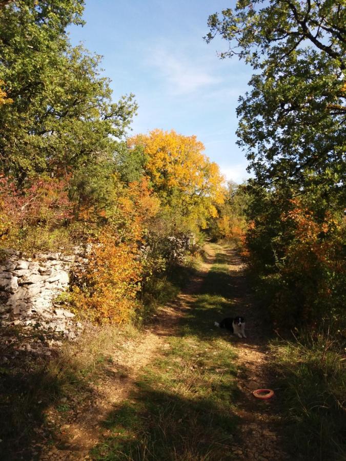Les Trois Prunelles Saint-Pierre-Toirac Екстериор снимка