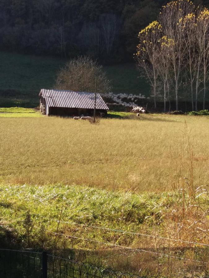 Les Trois Prunelles Saint-Pierre-Toirac Екстериор снимка